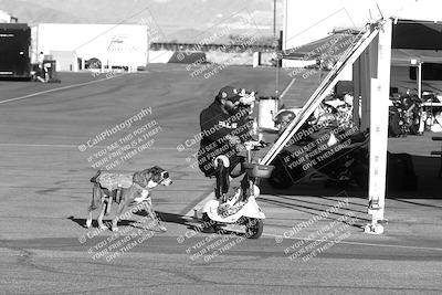 media/Feb-23-2025-2WTD (Sun) [[9604a77d5d]]/1-Around the Pits/
